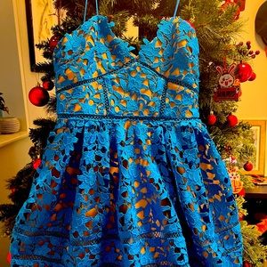 NEW WITH TAG Self-Portrait Women's Embroidered Fit & Flare Minidress